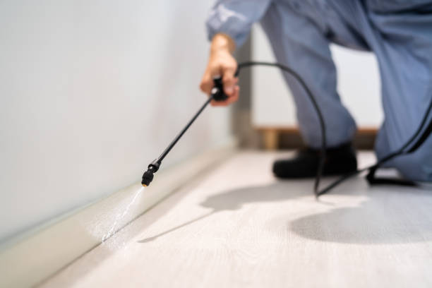 Licensed Termite Control service in Isabella County County, MI - Nex Pest Control
