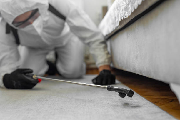 Professional Termite Control technician working in Isabella County County, MI